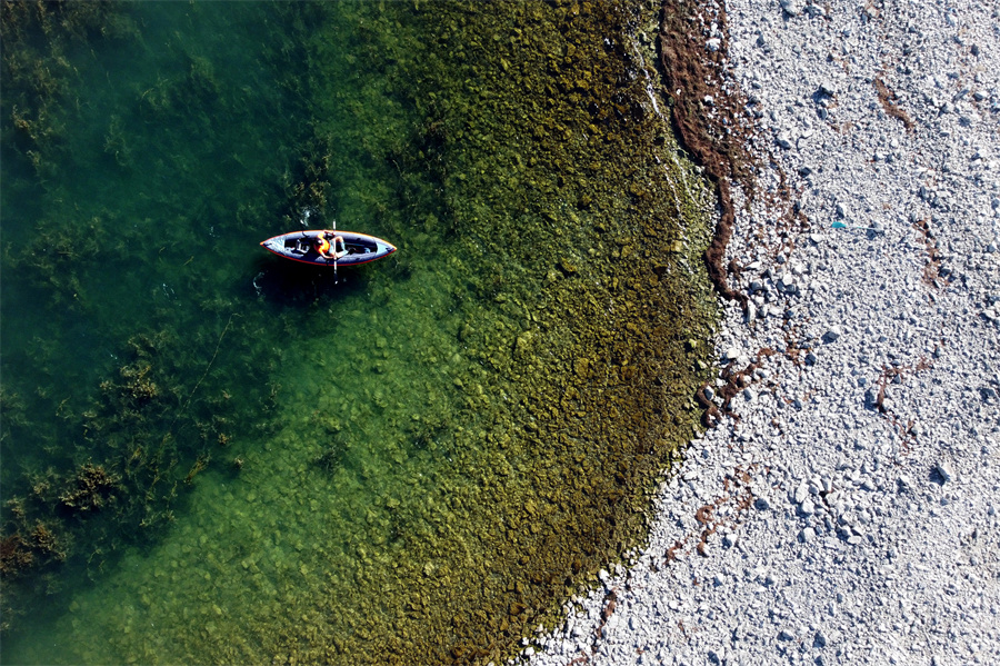 IC photo(qun)ƷՈ(qng)D(zhun)d