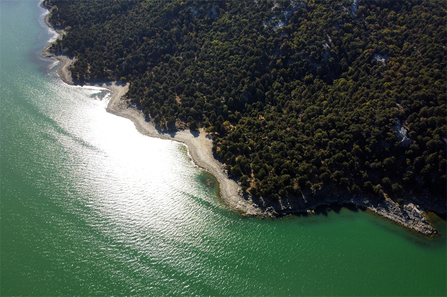 IC photo(qun)ƷՈD(zhun)d