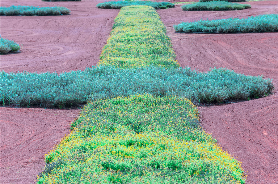 ICphoto(qun)ƷՈD(zhun)d