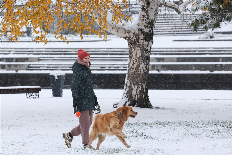 ICphoto(qun)ƷՈD(zhun)d