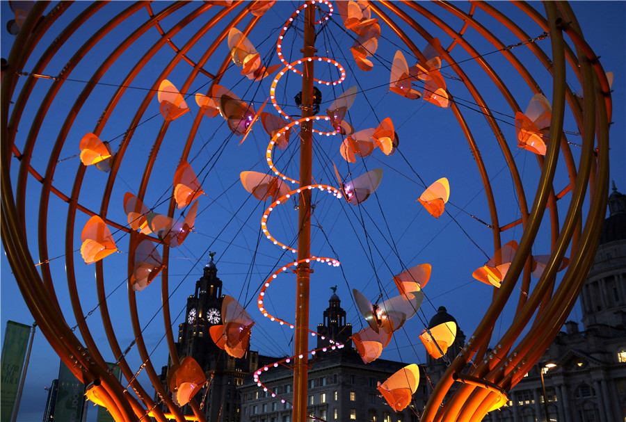 ICphoto(qun)ƷՈ(qng)D(zhun)d