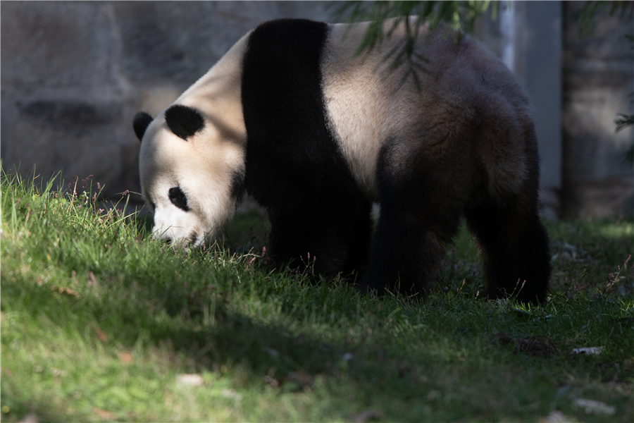 ICphoto(qun)ƷՈ(qng)D(zhun)d