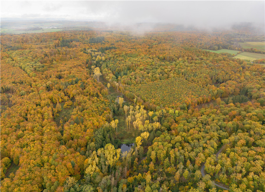 ICphoto(qun)ƷՈ(qng)D(zhun)d