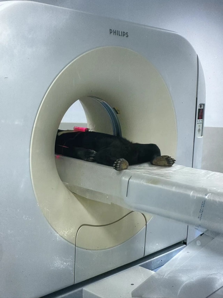 L¡ҰĄt(y)Ժ(ni)R˴ŹzW(wng)ӛ z