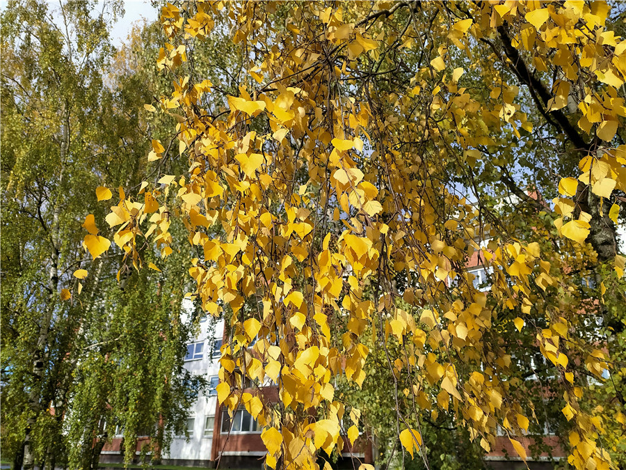 ICphoto(qun)ƷՈD(zhun)d