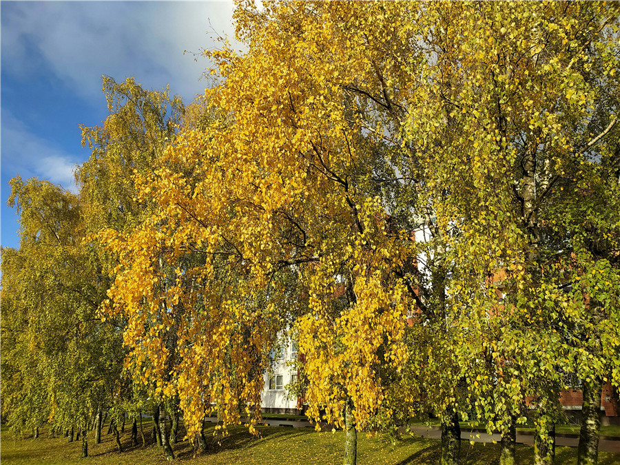 ICphoto(qun)ƷՈD(zhun)d