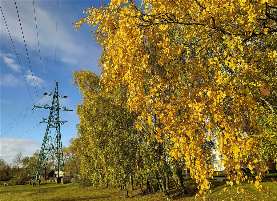 ICphoto(qun)ƷՈD(zhun)d