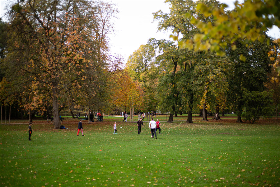 ICphoto(qun)ƷՈ(qng)D(zhun)d