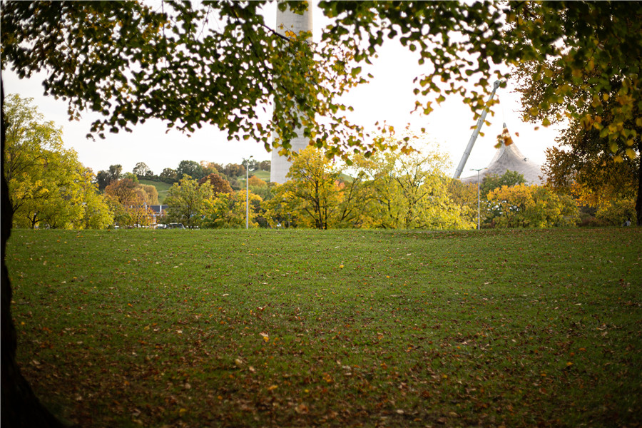 ICphoto(qun)ƷՈD(zhun)d