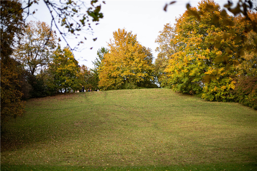 ICphoto(qun)ƷՈD(zhun)d