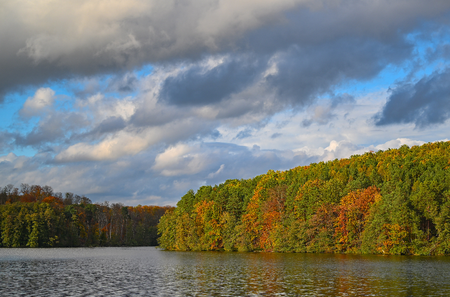 ICphoto(qun)ƷՈD(zhun)d