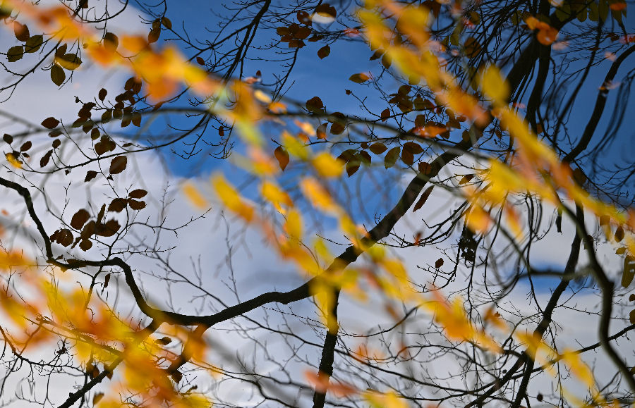 ICphoto(qun)ƷՈD(zhun)d