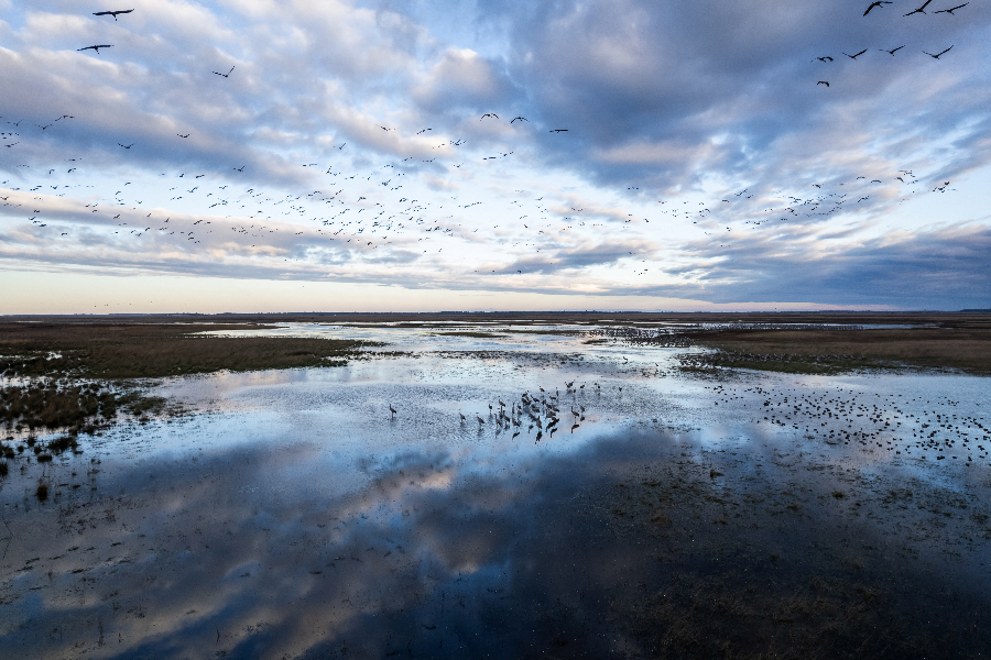 ICphoto(qun)ƷՈ(qng)D(zhun)d