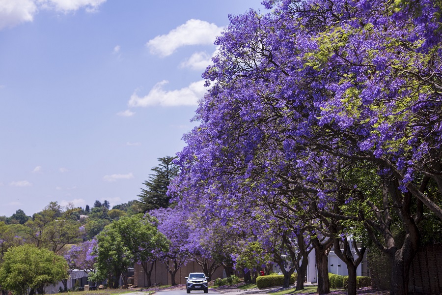 IC photo(qun)ƷՈ(qng)D(zhun)d