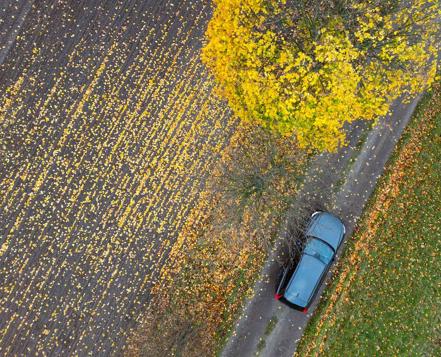 IC photo(qun)ƷՈD(zhun)d