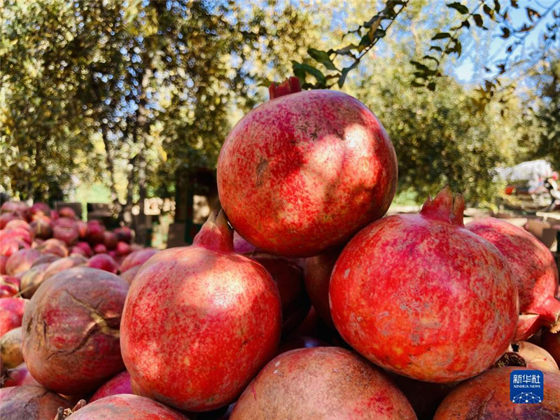 @1110ڰϲʡĔzի@ʯAl(f)ʵz