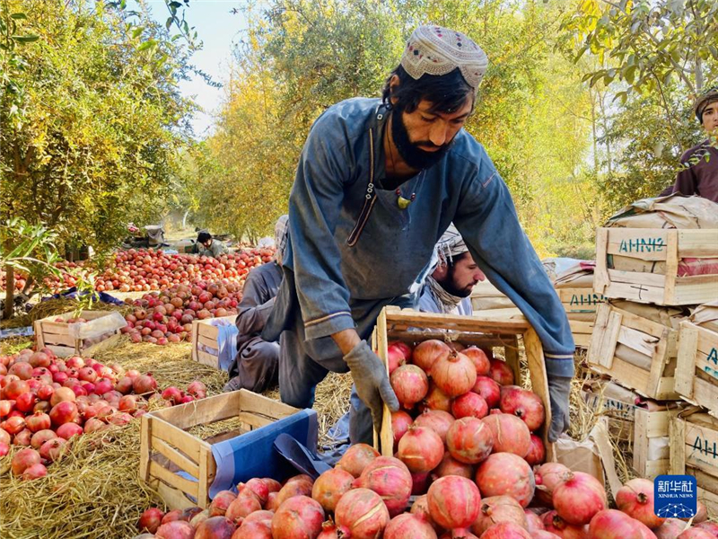 1110ڰϲʡr(nng)ի@ʯAl(f)ʵz