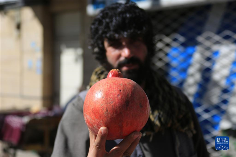 1110ڰ׶؜չʾa(chn)԰ϲʡʯAl(f)_Ɣz