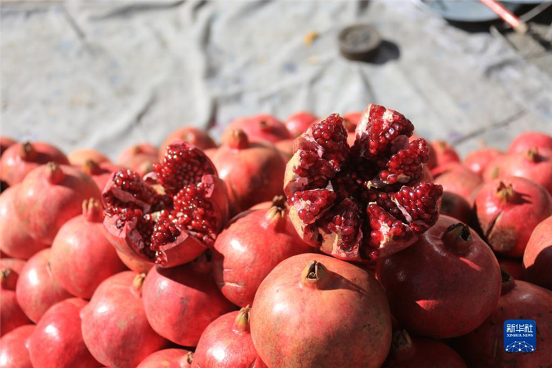 1110գڰ׶һ̎λu(mi)a(chn)԰ϲʡʯAl(f)_Ɣz