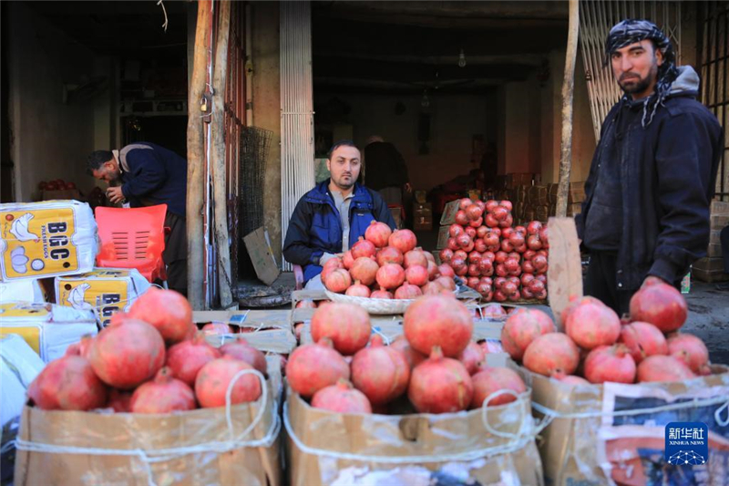 1110ڰ׶һ̎λua(chn)԰ϲʡʯAl(f)_Ɣz