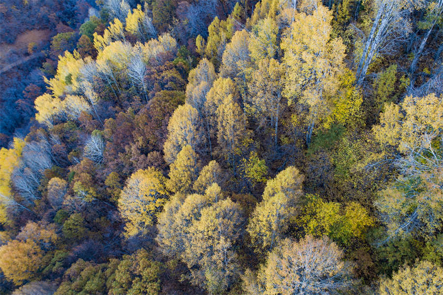 IC photo(qun)ƷՈ(qng)D(zhun)d