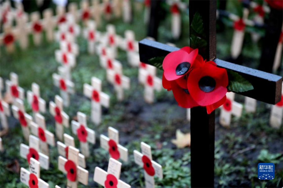 @1112Ӣ˹˹ؽĔzĵRAӛ f z