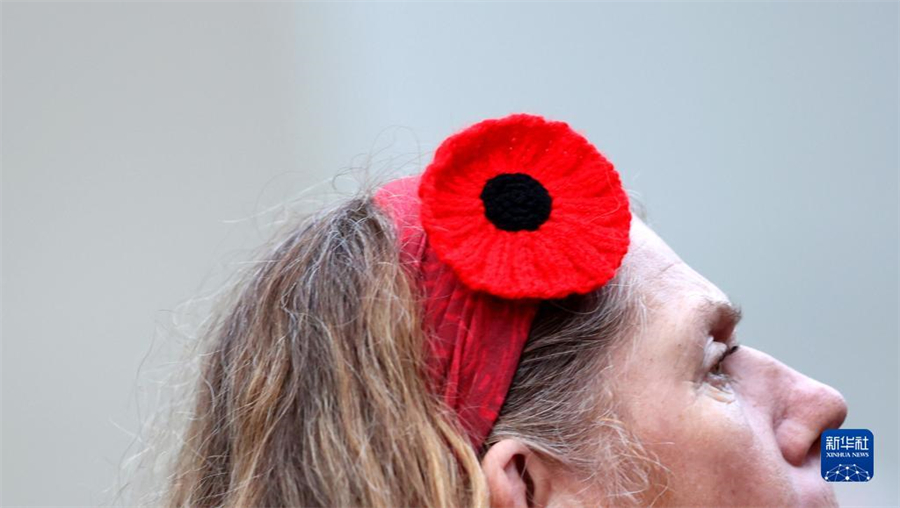 1112ӢһŮӅӼo(j)ͣ(zhn)(dng)Aӛ f z