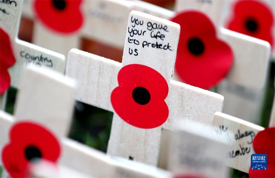 @1112Ӣ˹˹ؽĔzĵZAӛ f z