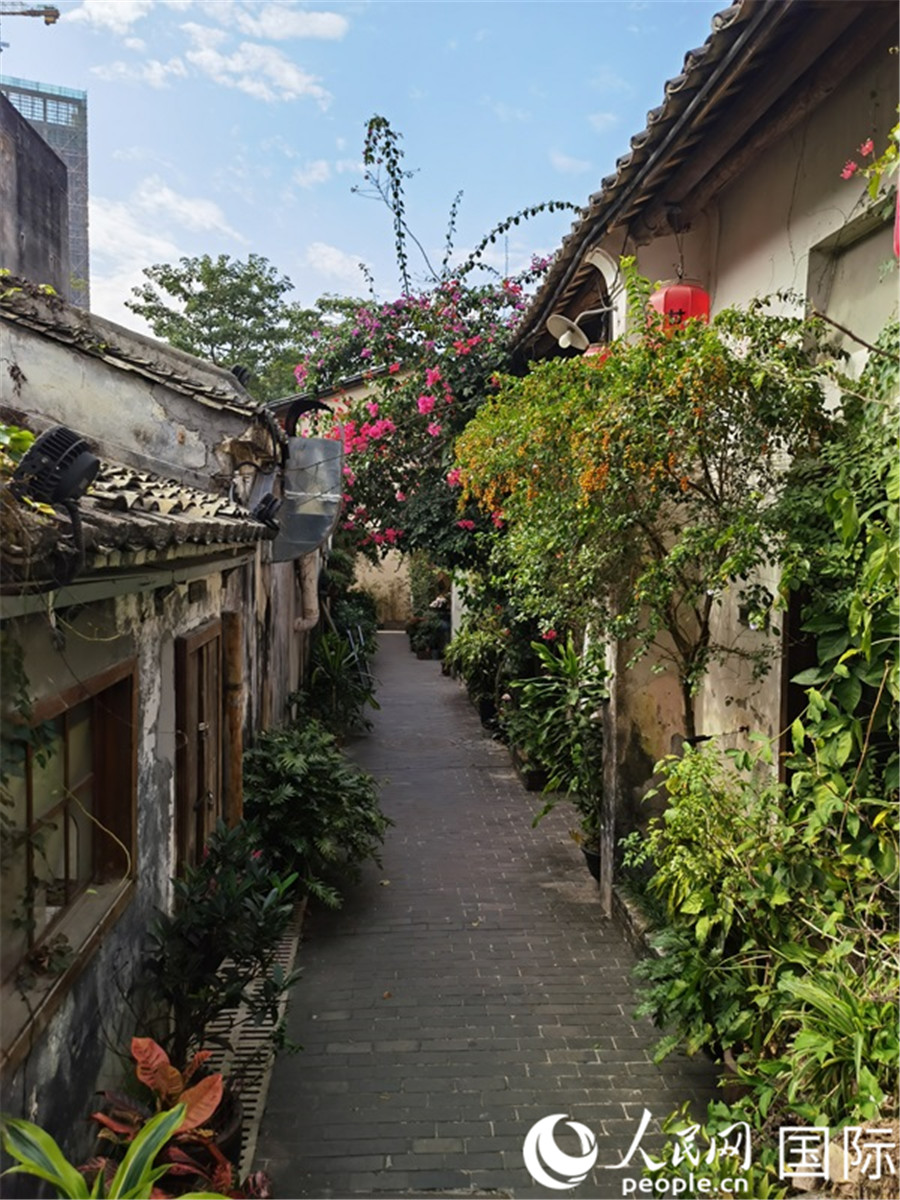 (zhn)СW(wng)ӛ P(yng)z