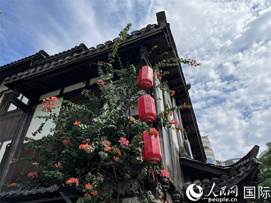 ʿӹ(zhn)\W(wng)ӛ ˼z