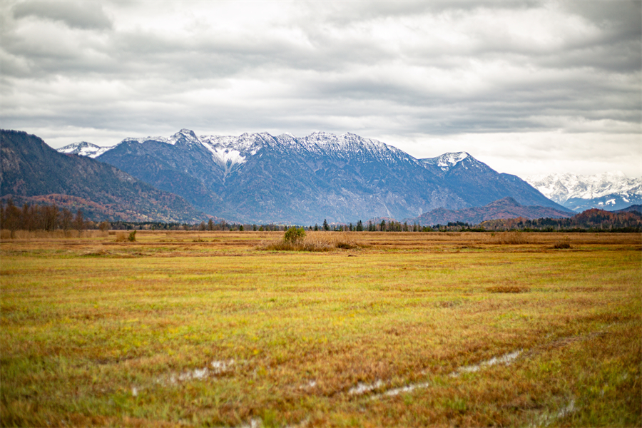 IC photo(qun)ƷՈD(zhun)d