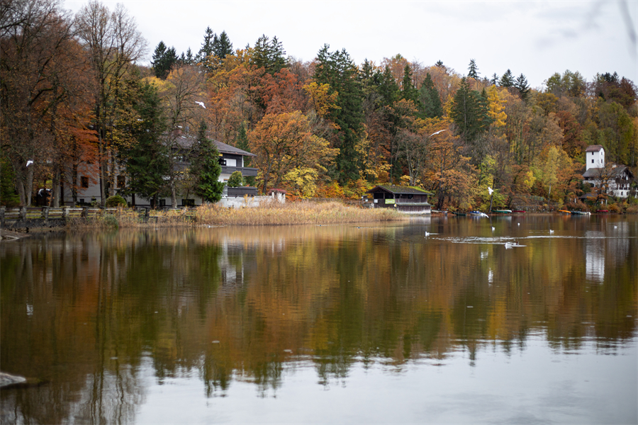 IC photo(qun)ƷՈ(qng)D(zhun)d