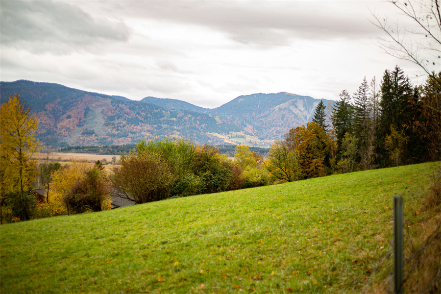 IC photo(qun)ƷՈ(qng)D(zhun)d