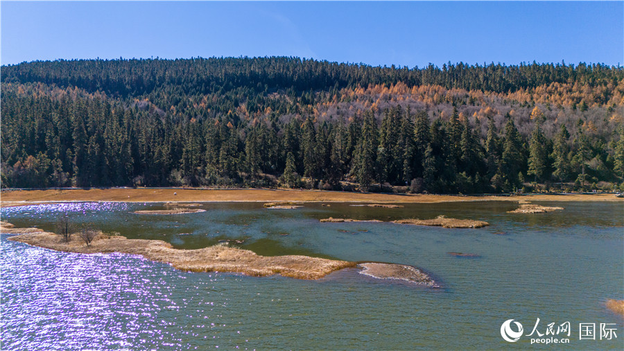 ٶֱMȾW(wng)ӛ (hu)z