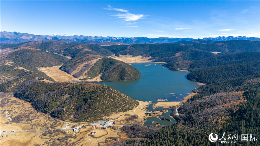 ҹ@ٶȫW(wng)ӛ z