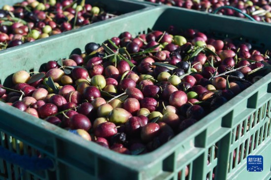 @1124˹ĔzϙAl(f)˹֡B?ci)z