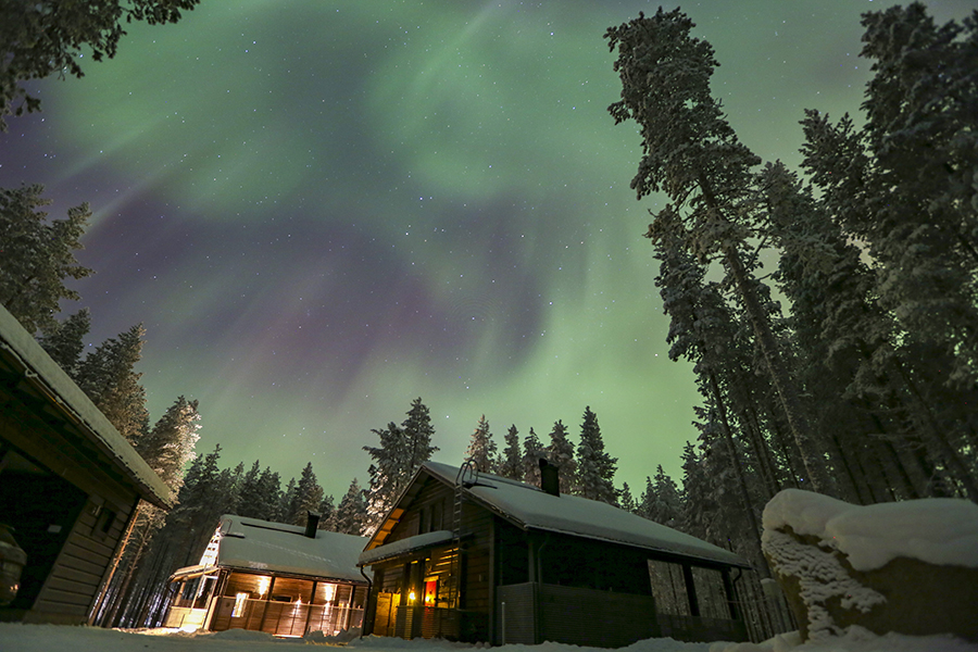 ICphoto(qun)ƷՈD(zhun)d