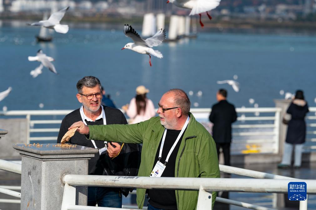 127գýwιttAӛ  z