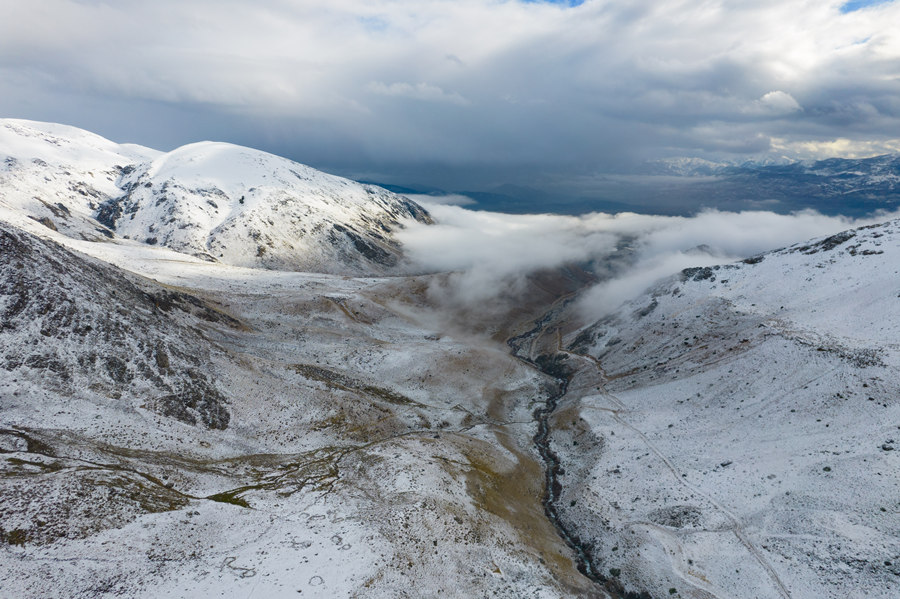 IC photo(qun)ƷՈD(zhun)d 