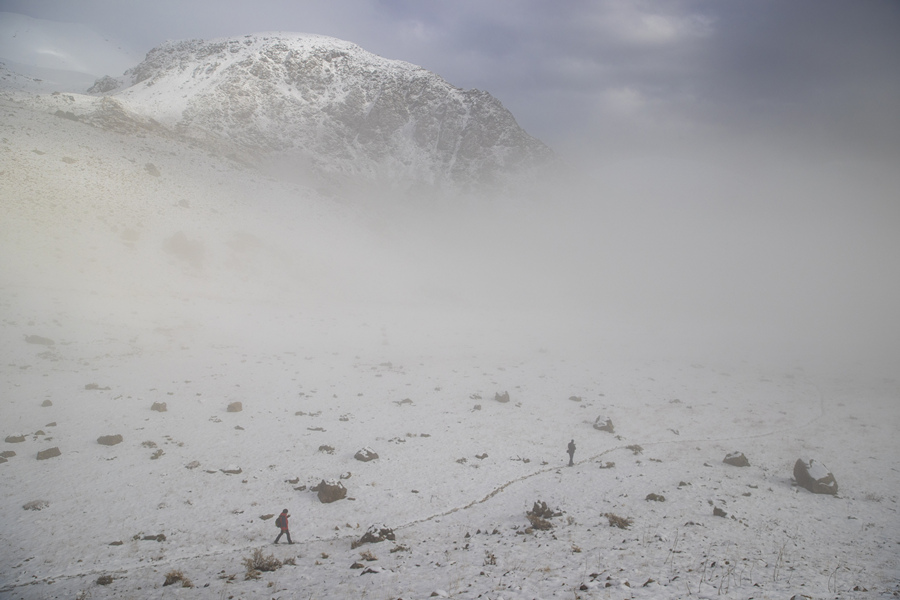 IC photo(qun)ƷՈD(zhun)d 