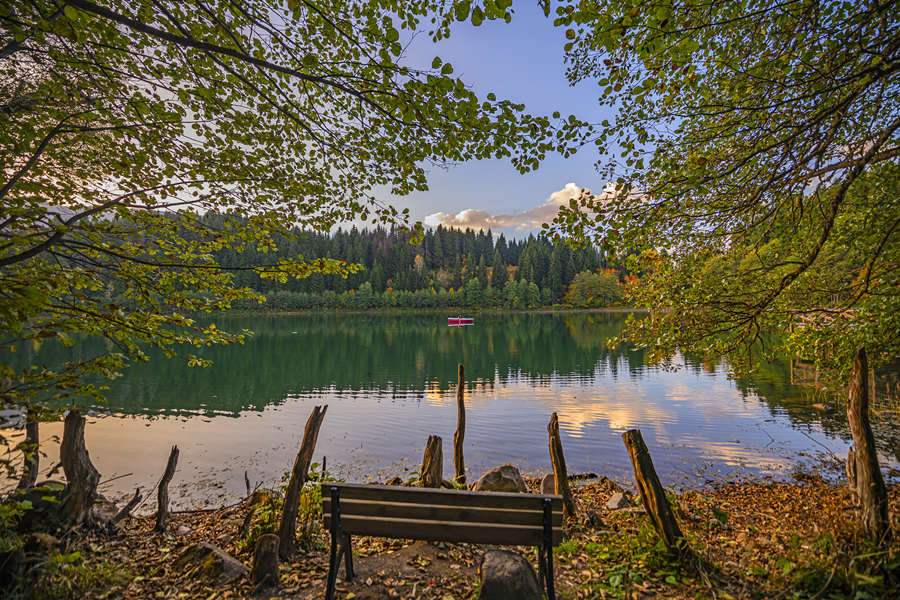 ҕXЇ(qun)ƷՈ(qng)D(zhun)d