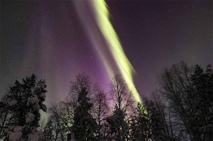 IC photo(qun)ƷՈD(zhun)d