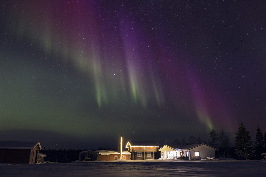 IC photo(qun)ƷՈD(zhun)d