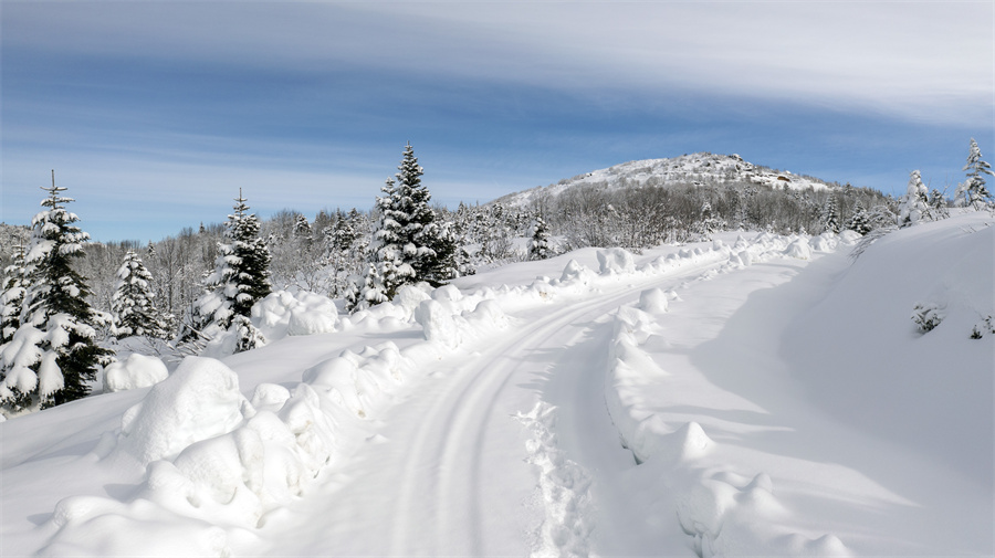 IC photoƷՈDd