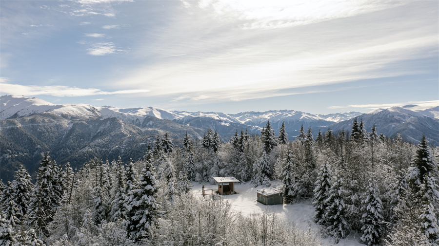 IC photo(qun)ƷՈD(zhun)d