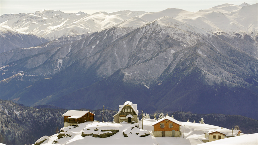 IC photo(qun)ƷՈD(zhun)d