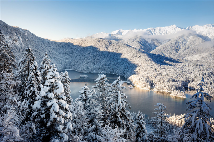 IC photo(qun)ƷՈD(zhun)d  