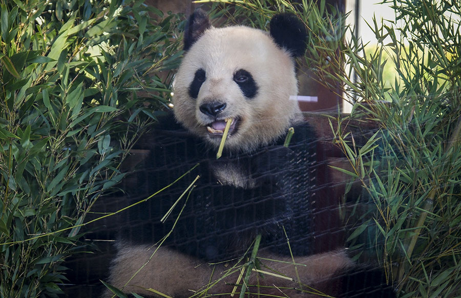 IC photo(qun)ƷՈ(qng)D(zhun)d