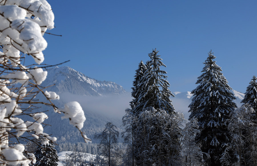 IC photo(qun)ƷՈ(qng)D(zhun)d 