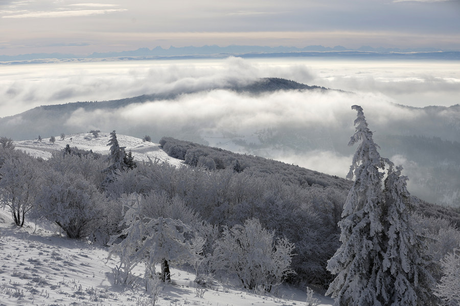 ҕXЇ(qun)ƷՈ(qng)D(zhun)d